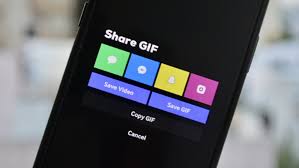 Scroll down and tap save as video. How To Convert Live Photos To Videos Or Gifs On Your Iphone