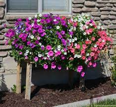 How To Make Wave Petunia Flower Box Pallet Planter Box Cascading Planter Small Space Gardening