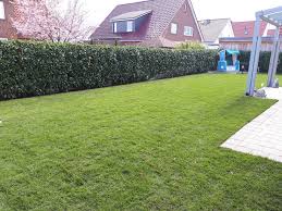 Das wichtigste ist hierbei, dass sich die jungen wurzeln mit. Rollrasen Verlegen In Burgdorf Hannover Burgwedel Und Isernhagen Von Greeenfairway E K Fertigrasen Rollrasen Rasen Garten Gartengestaltung Rasen Garten