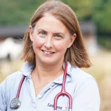 Experienced Farm Vets