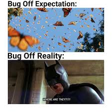 I Overestimated Again Eh My Best Is 14 Animalcrossing Animal Crossing Funny Animal Crossing Animal Crossing Memes