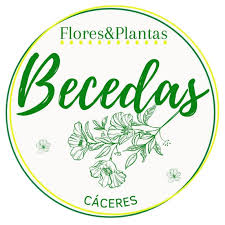 Floristería Becedas Cáceres