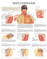 Pain rolling on shoulder in bed/night pain. Shoulder Pain Anejo