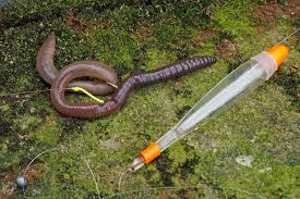 Probier S Mal Mit Pose Angeln Barsch Angeln Gummifische