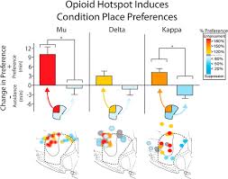 Последние твиты от umd kappa delta (@umdkappadelta). Opioid Hedonic Hotspot In Nucleus Accumbens Shell Mu Delta And Kappa Maps For Enhancement Of Sweetness Liking And Wanting Journal Of Neuroscience