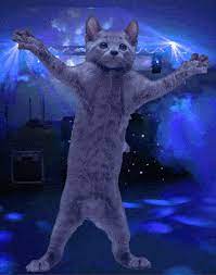 Bellk31 S Animated Gif Dancing Cat Gif Dancing Cat Cat Gif