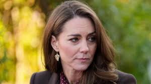 Prince William speaks French in address