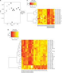 We would like to show you a description here but the site won't allow us. Microrna Profiling Of Peripheral Nerve Sheath Tumours Identifies Mir 29c As A Tumour Suppressor Gene Involved In Tumour Progression British Journal Of Cancer