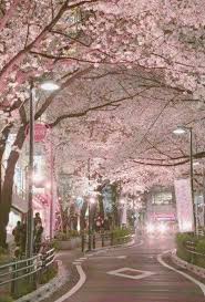 Pin By Noni Noni On Backstreets Sidestreets In Japan Where I Love So Much Sakura Tree Beautiful Places Aesthetic Japan