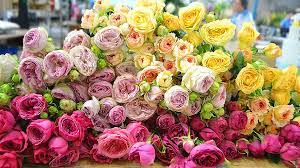 Worth is a revitalized urban center with apartments, shopping, entertainment. Dallas Florist To Petal It Forward In Downtown Cbs Dallas Fort Worth