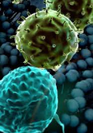 In fact, an underlying cause of cancer is usually low cellular oxygenation levels. Hyperthermia Cancer Treatment And Beyond Intechopen