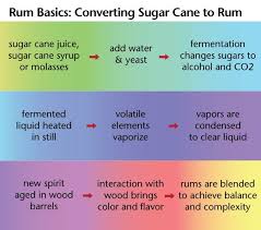Rum 101 To Help You Understand And Learn About Rum Basics