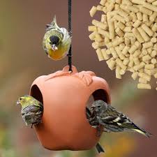 Best Bird Feeders For Small Birds Uk What Is A Bird Feeder