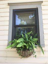 This is an extraordinary, how to plant a window box garden tutorial with terrific photos and tips for container gardening success. Pin On Window Box