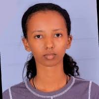 8 "Saba Gebre" profiles