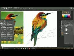 How To Draw Bird In Photoshop Cc With Wacom Tablet Youtube Bird Drawings Drawings Drawing Tablet