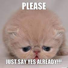 The image is typically used as a reaction face to convey a dismissive attitude towards someone else's input in online discussions, then usually following something that one ups their input. Please Memes