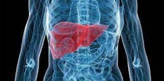 Locatia apendicelui este in partea dreapta inferioara a abdomenului. Semne Ce Indica Un Ficat Cu Probleme Medlife