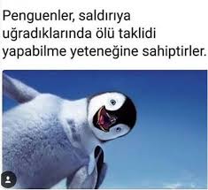 Nihal Ozturkmen Adli Kullanicinin Information Panosundaki Pin Guzel Soz Bilgi Hayatla Ilgili Alintilar