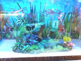 35+ model dan harga meja aquarium unik untuk ruang tamu minimalis. Aquarium Cantik Home Facebook