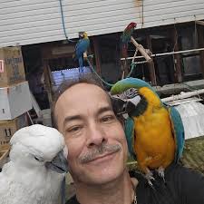 How to cut Marco rock flat near Livonia?