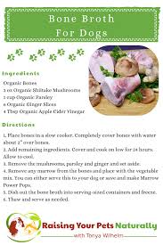 Bone Broth Recipe For Your Dog Recipe Healthy Dog Food Recipes Dog Food Recipes Dog Recipes