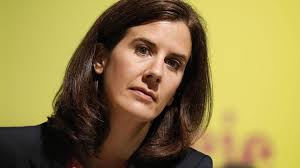 Das coronavirus lebte mit uns unter einem dach. Wegen Corona Katja Suding Fdp Fordert Ein Notprogramm Fur Schuler