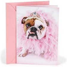 Wishing you a very happy birthday! Amazon Com Hallmark Shoebox Funny Birthday Card For Her Wine And Coffee Bulldog In Tiara 0369rzf3008 Office Products
