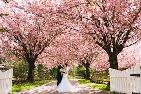 Secret Garden Abbotsford Wedding Photos Vancouver Wedding Photographer Wedding Photos Vancouver Wedding Vancouver Wedding Photographer