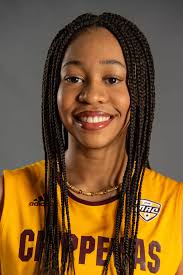 Chippewa Volleyball Earns National Academic Team Award for 2023-24 Academic  Year