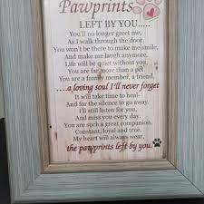 The animal kingdom toddler combo is sure to be a hit with the little ones with bright colorful graphics and lots to do inside with bounce area and crawl spaces and even some interactive games and a slide the combo is. Animal Kingdom Pet Hospital Veterinarians 2222 E 38th St Erie Pa Phone Number