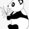 Swole panda is pioneering a sustainable future by using bamboo for our clothing and accessories. 1
