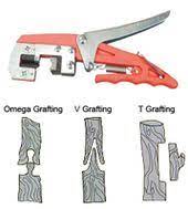 Find great deals on ebay for fruit tree grafting tools. 8 Grafting Tools Ideas Grafting Fruit Trees Tools