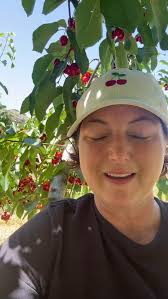 Cherries! 🍒 Opening June 18, 2025!