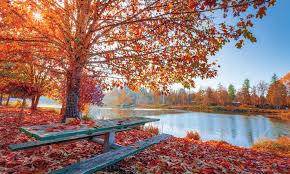 The greatest season of the year may only last from early september to late december, but here we celebrate year round. 10 Easy Things To Do Outdoors In Autumn