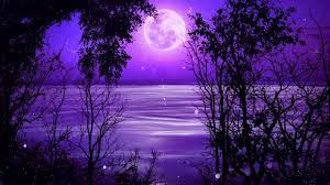 Deep Sleep Music 528hz Tranquil Sleep Meditation Delta Waves Healing Sleep Sleeping Deeply Youtub Healing Sleep Music Deep Sleep Music Sleep Meditation