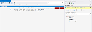 Git Basics With Visual Studio 2019 Software Meadows