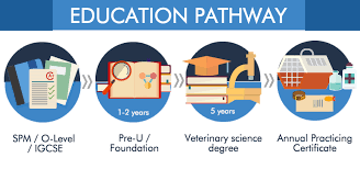 Dentists also use tools to treat conditions like broken teeth, misaligned teeth, periodontal disease and exposed tooth roots. Veterinary Science Course In Malaysia Eduadvisor