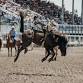 Oakdale Rodeo event image