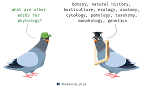 Is that horticulture is the art or science of cultivating gardens; Words Botany And Phytology Have Similar Meaning