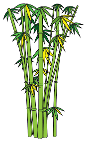 How To Draw Bamboo Tree Drawings Pencil Bamboo Drawing Tree Drawing