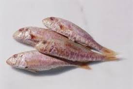 The Best Baits For Mullet Fishing Mullet Fish Fish Fish Ball