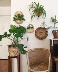 14 to 18 hours of light per day is recommended for most edible species when. 11 Space Saving Ways To Display Houseplants