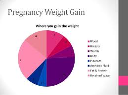 24 baby weight charts template lab