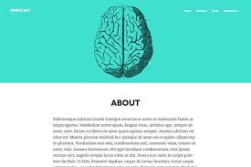 Sprocket Responsive Wordpress Theme Blog Themes Wordpress Wordpress Theme Responsive Wordpress Theme