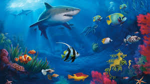 Perfect screen background display for desktop, pc, mobile. Anime Live Wallpaper Free Download For Pc Cool Live Wallpapers For Pc 50 Images Anime Wallpapers Hd Underwater Wallpaper Live Wallpaper For Pc Shark Painting