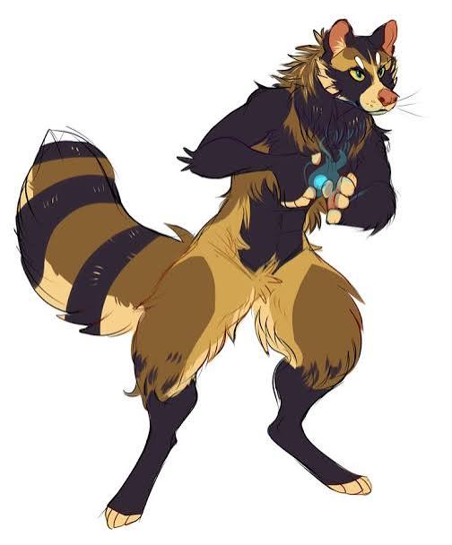 Mustelid fursona | Bearcat fursona, Racoon fursona, Anthro animal