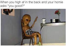 51 Memes That Ll Make Every Stoner Laugh All The Way To The Drive Thru