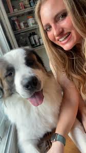 Hi! Just moved to Tampa and in need of a good vet for my dogs! Any  recommendations in the Tampa/Brandon area? Thank you ❤️