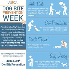 It S Dog Bite Prevention Week Read Our Safety Tips I L Ve Dog Safety Dogs Pet Care Tips
